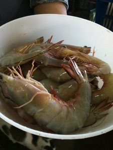 IMG_5816_meeudang