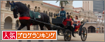 bannerhorse