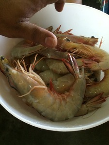 IMG_5814_meeudang