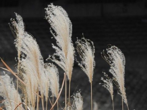 a0960_008789