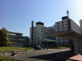 55d93263.jpg