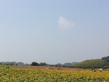 88747a07.jpg