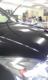 953f3d6c.jpg