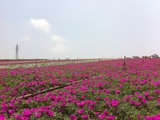 a5a8e859.jpg