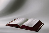 a6c80b10.jpg