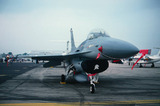 dfccc118.jpg