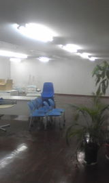e2487729.jpg