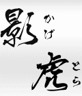 V10NET 『影虎』