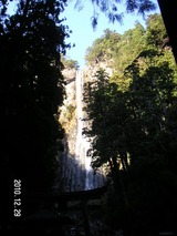 nachi