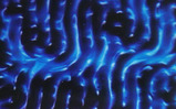 Floating Sound 写真集 001_edited