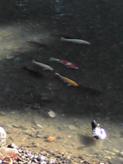 20101025090945