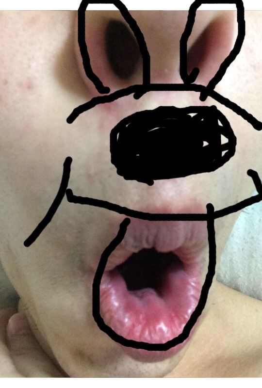 vekpdPD