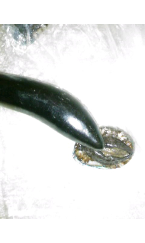 002fc2ef.jpg