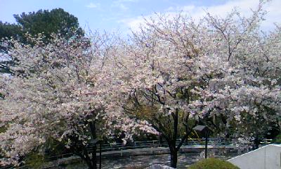 033f9208.jpg
