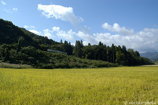 09f66ba7.jpg