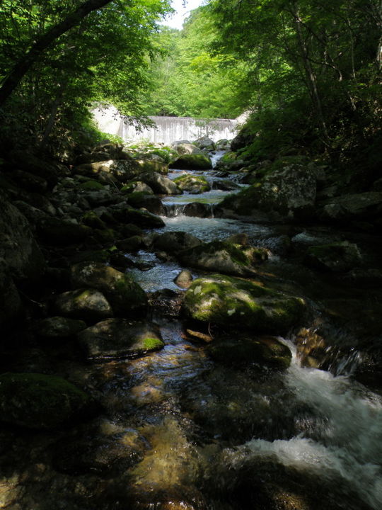 0c975c1a.jpg
