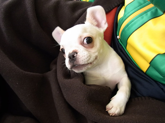 20100302_981158.jpg