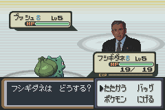0d1b646d.png