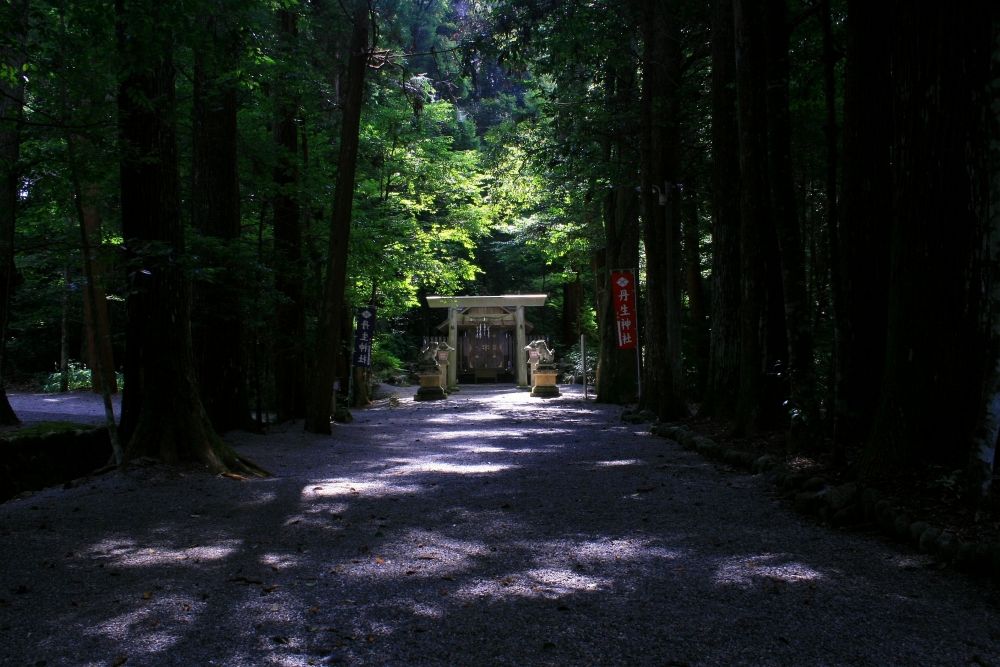 hirame132052.jpg