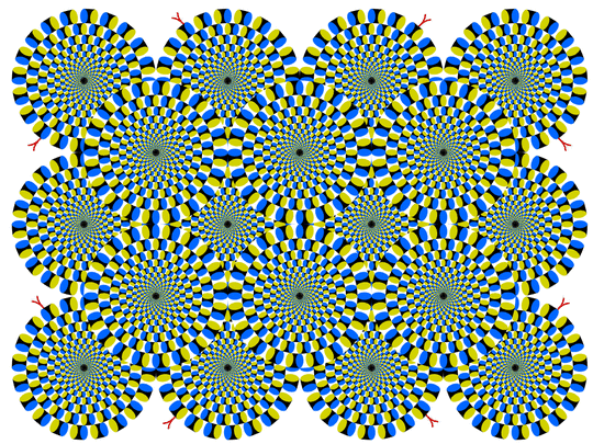 142a9459.gif