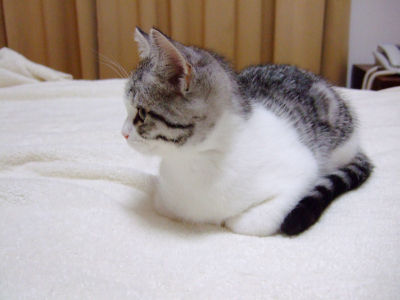 15d3839f.jpg