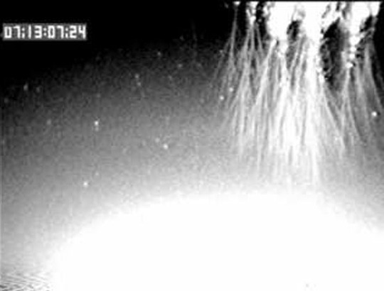 1f178dd4.jpg