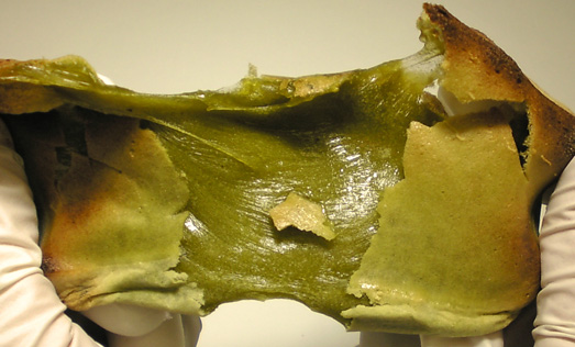 2263ca7c.jpg