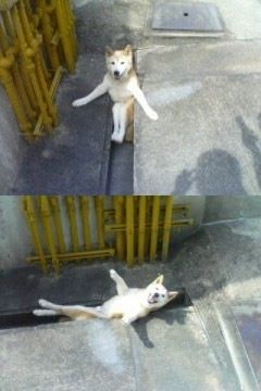 IHdHJ