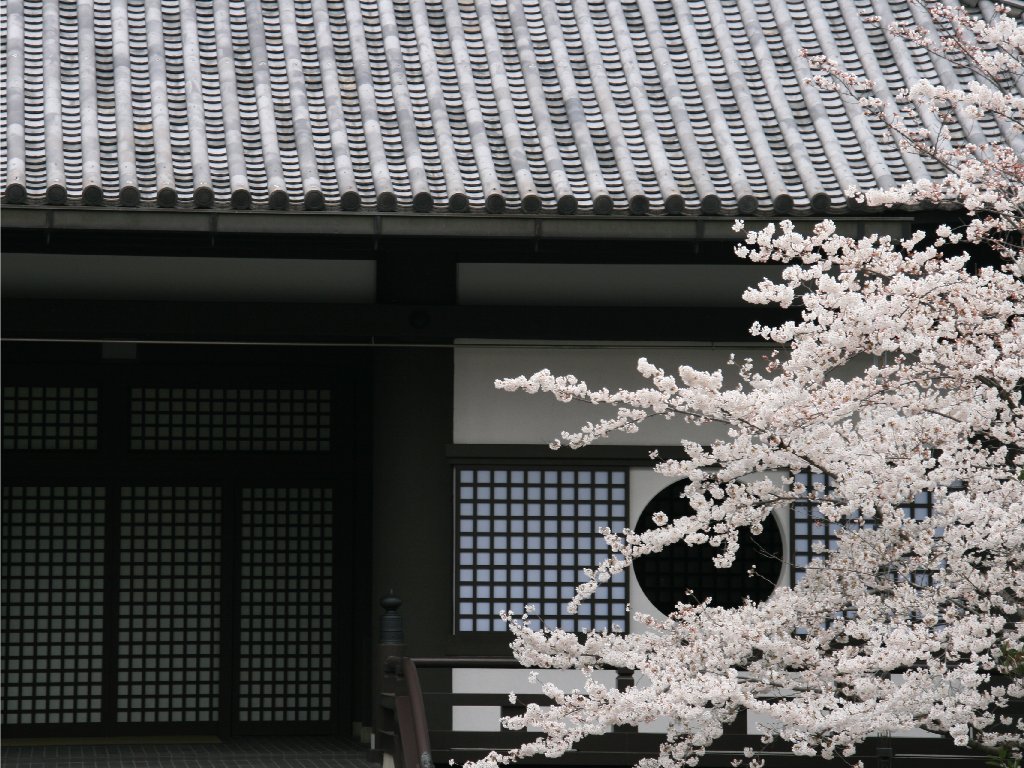 pandorakabe00002388.jpg
