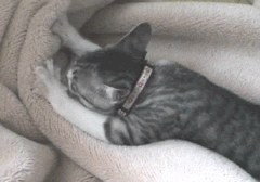 34b04175.gif