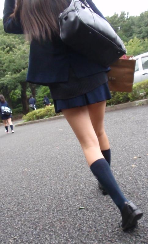 pansei00019852.jpg