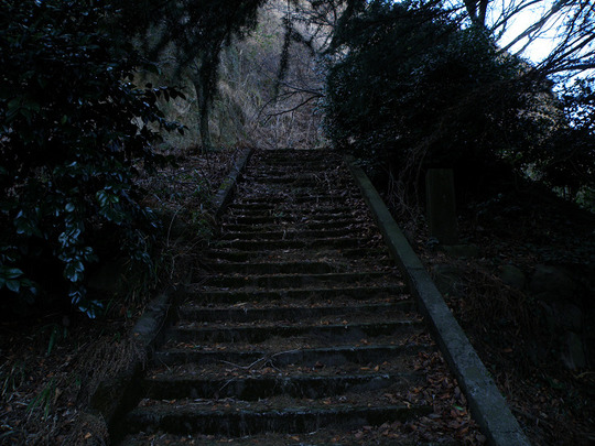 3a78908b.jpg