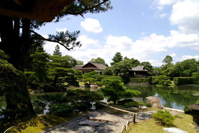 katsurarikyu2