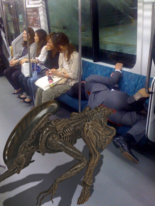 4253bd3f.jpg