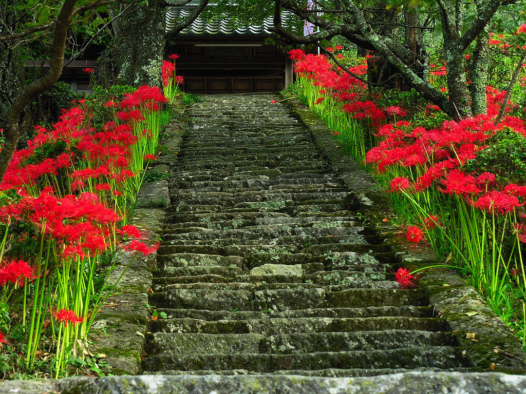 hirame132054.jpg