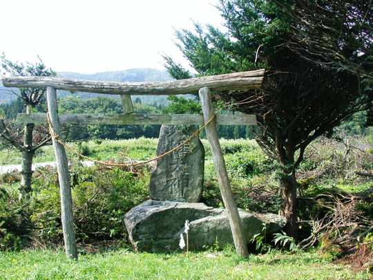 4f529f34.jpg
