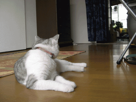 53b4ed0e.gif