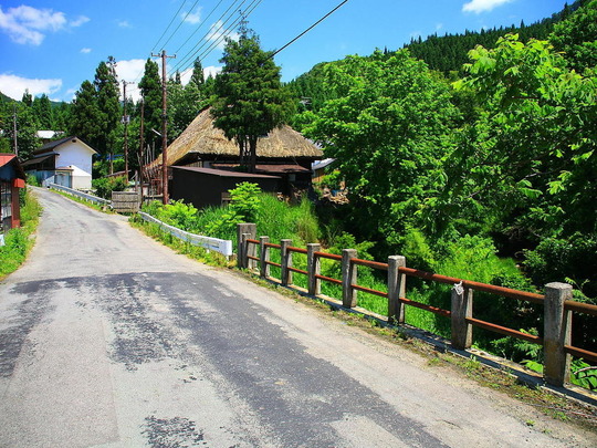 5501d952.jpg