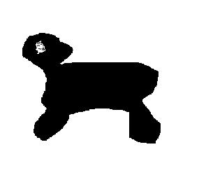 6850037d.jpg