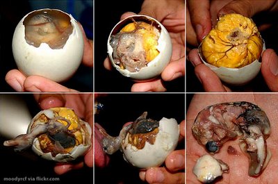 balut_embryo-thumb-400x265-5011