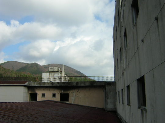 72960125.jpg