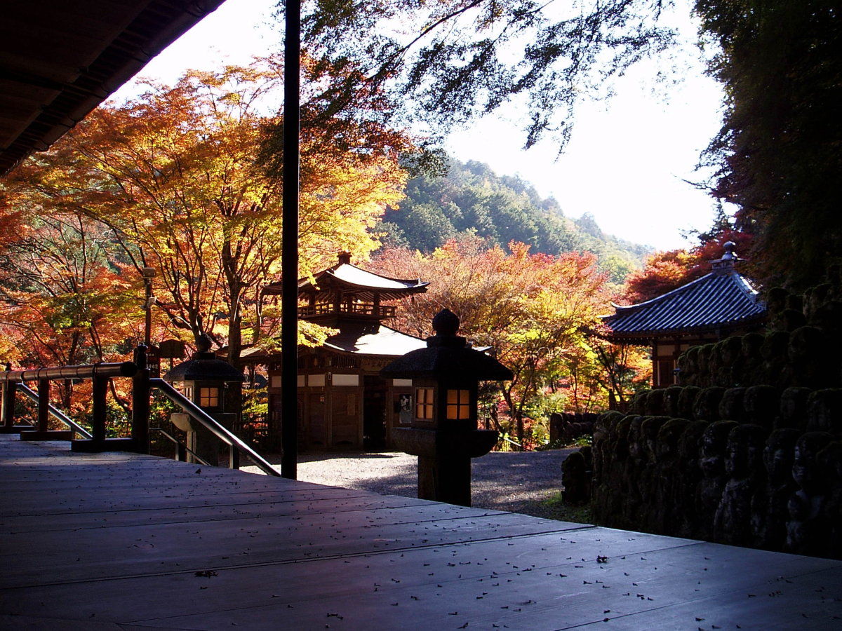 pandorakabe00002384.jpg