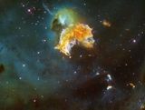 79d981c1.jpg