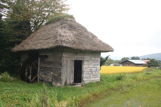 8510b369.jpg