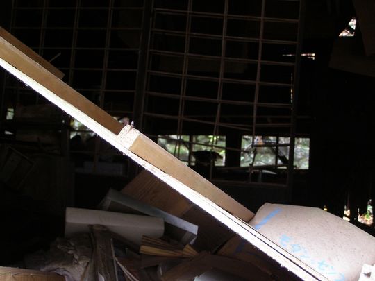 8670f7ac.jpg