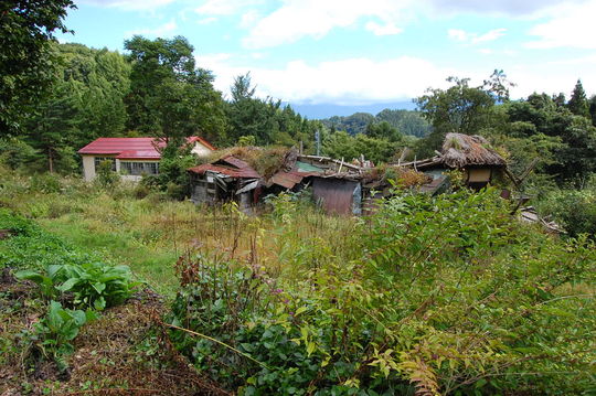 86a573f0.jpg