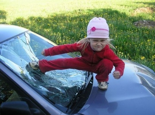 daily_picdump_870_640_04