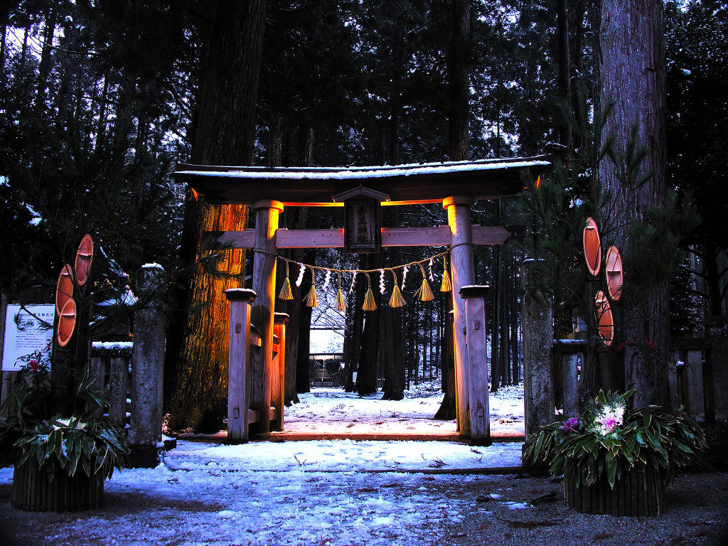 pandorakabe00002391.jpg