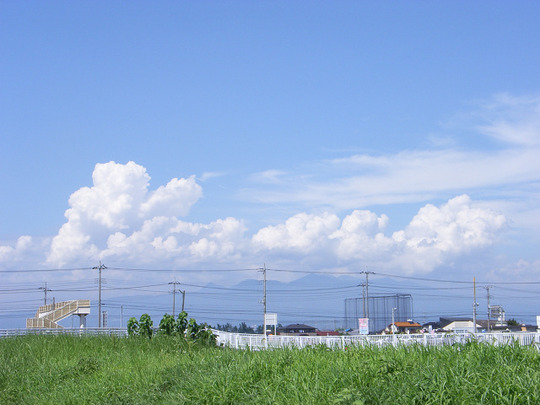 98fd575c.jpg