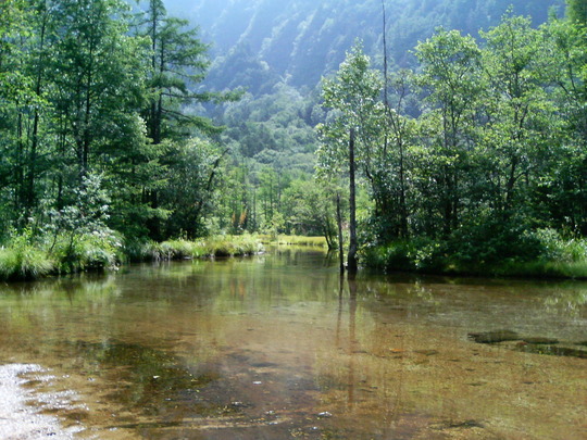 9c5db7a4.jpg